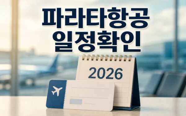 파라타항공은 시작일뿐? 2026 적용일과 확인 방법 총정리