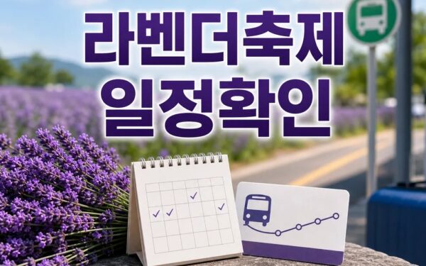 동해 라벤더축제 2026 일정과 교통 확인 방법 총정리 최신 기준