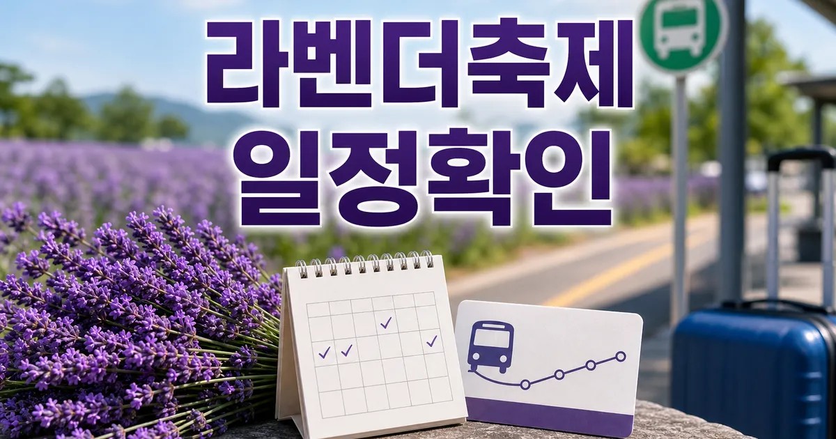 동해 라벤더축제 2026 일정과 교통 확인 방법 총정리 최신 기준 대표 썸네일
