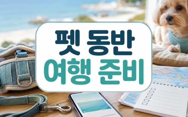 놀유니버스 NOL, 태안군청과 ‘펫 동반 여행’ 활성화 방문 전 준비 가이드
