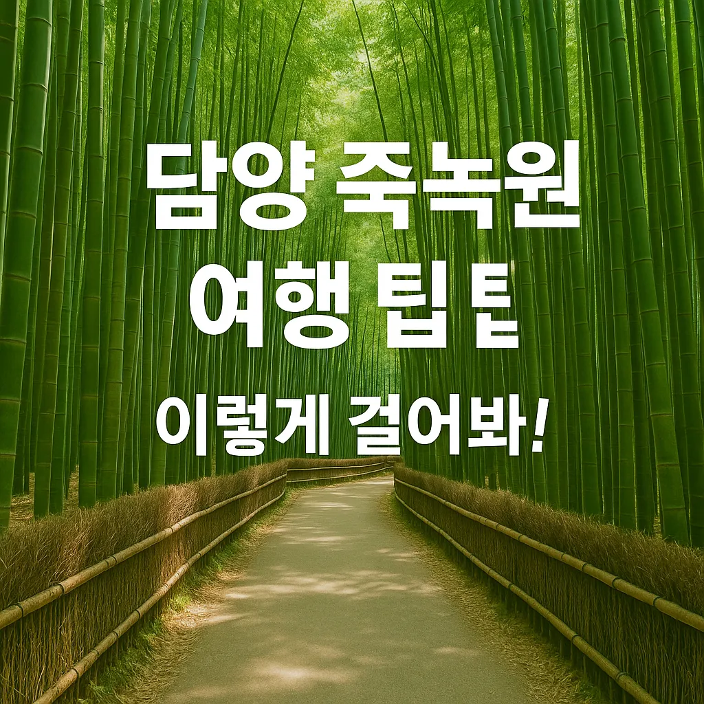 담양 죽녹원 여행 꿀팁 8가지 | 대나무 숲 힐링부터 축제 정보까지