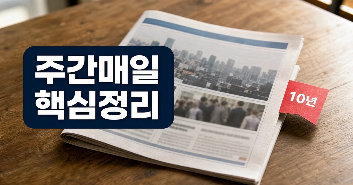 주간매일 10년 만에 부활 핵심정리 대표 이미지