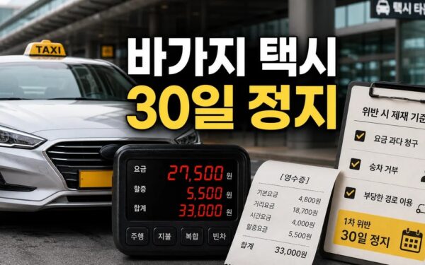 외국인 택시 바가지요금 첫 적발도 자격정지 30일, 달라지는 처분 기준