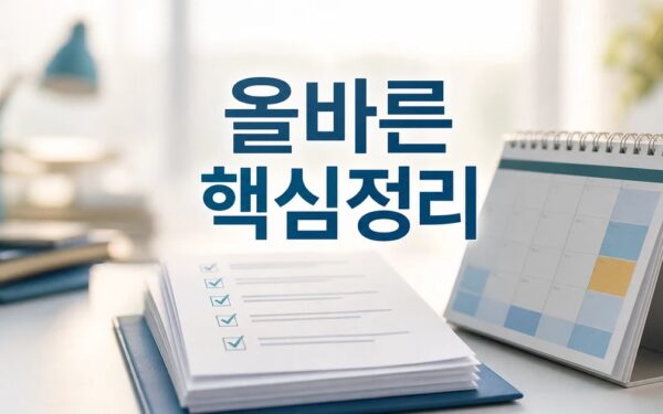 올바른 기준 2026 적용일과 확인 방법 총정리 최신 기준