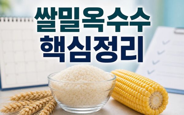 세계 쌀·밀·옥수수 가격 상승 2026 적용일과 확인 방법 총정리