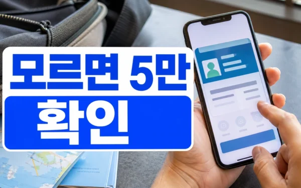 모르면 5만 원 손해! 국내여행자 필수앱 ‘디지털관광주민증’ 완전정복 실무 활용 체크리스트