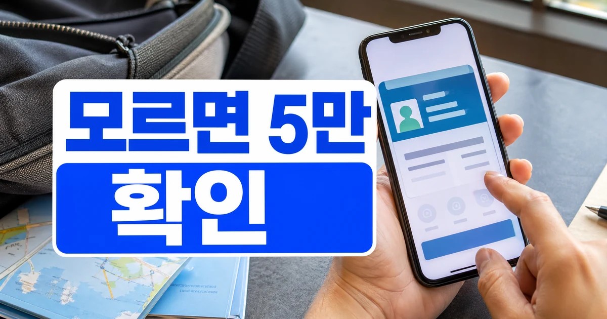 디지털관광주민증 국내여행자 필수앱 5만 원 확인 대표 이미지