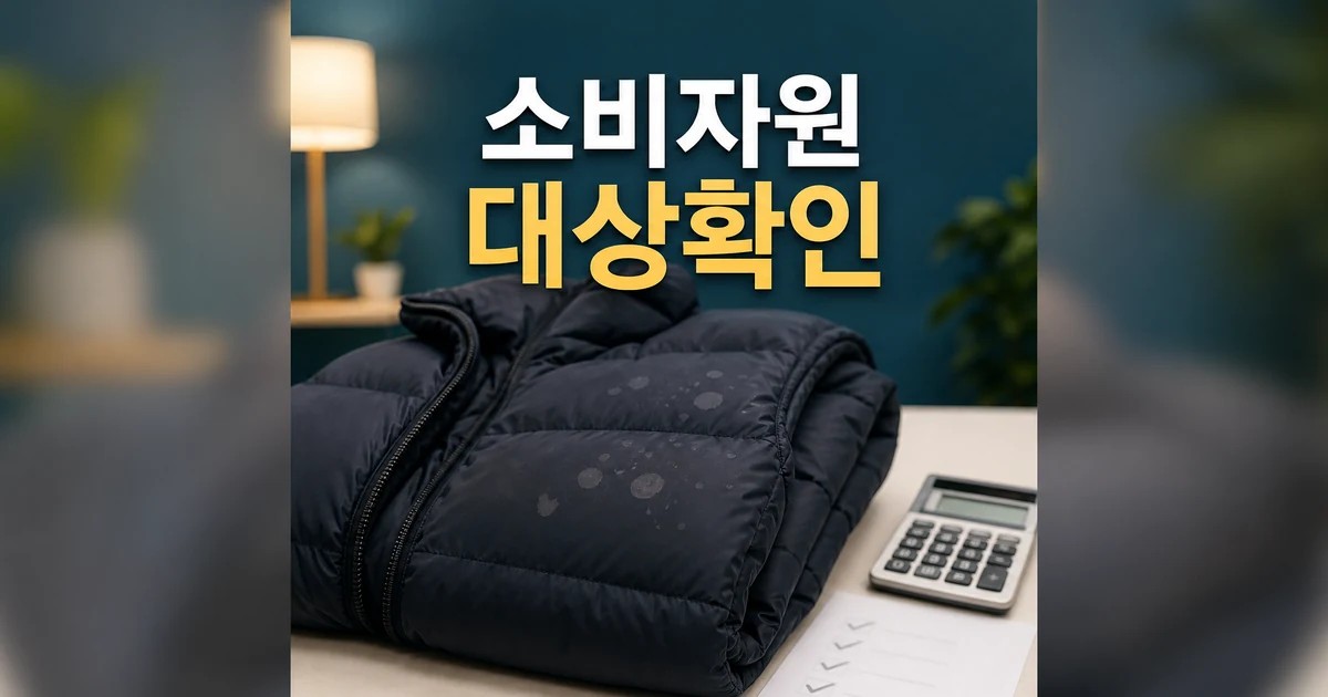 소비자원 반점 발생 프라다 패딩 조건과 비용 확인을 위한 패딩 점검 썸네일