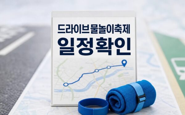 드라이브·물놀이·축제 일정·교통·비용 확인 방법 총정리