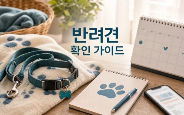안선영 19살 반려견 2026 적용일과 확인 방법 총정리 최신 기준