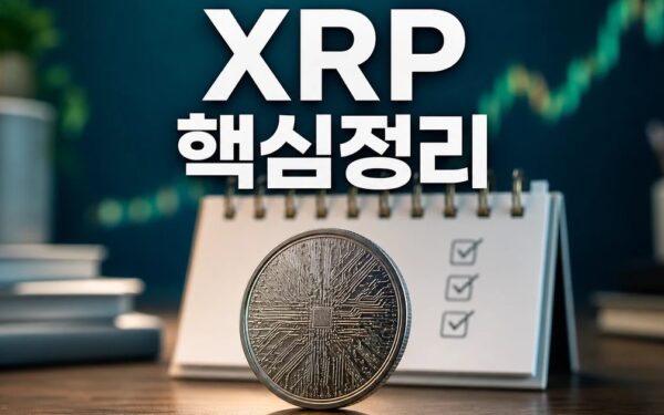 XRP 가격이 10% 상승 2026 적용일과 확인 방법 총정리