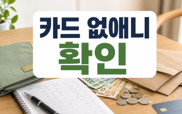 “카드 없애니 돈이 모이네” MZ, ‘현금 챌린지’에 빠지다 초보자를 위한 정리