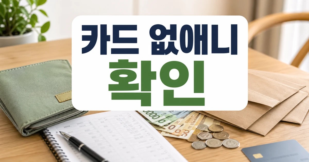 카드 없애니 돈이 모이네 MZ 현금 챌린지 확인 대표 썸네일