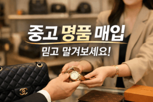 2026년 중고 명품 시장 완전정리 8.2조